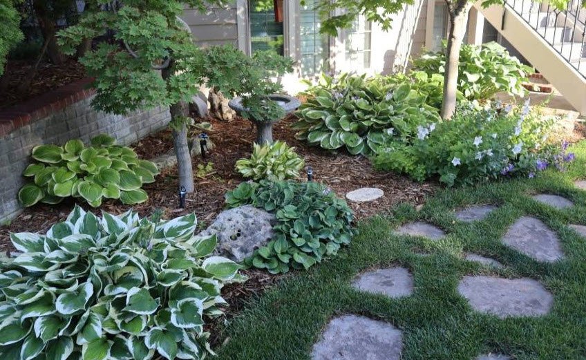 Sedgwick County Extension Arboretum, United States